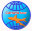 Google+