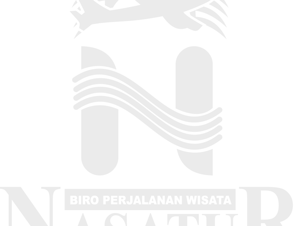 Nasatur White Logo