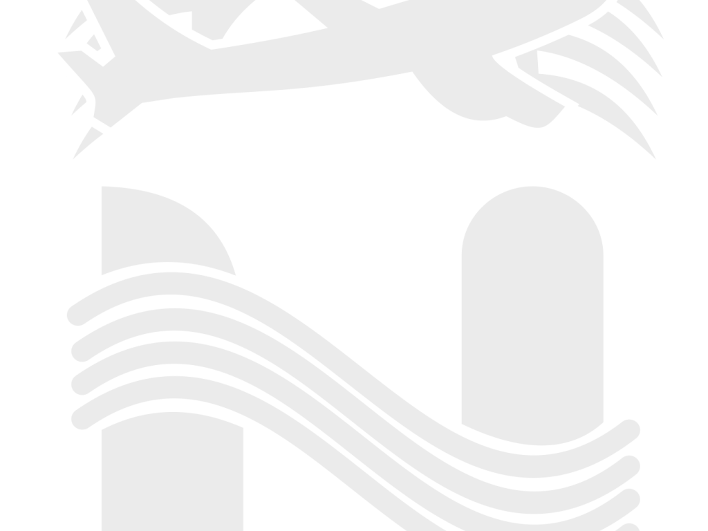 Nasatur N White Logo