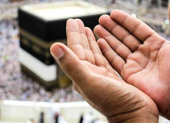 travelsystem01.my.id