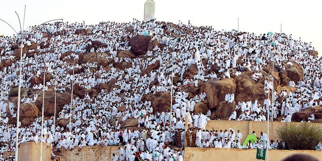puncak-haji-berjalan-lancar-pray-for-gaza-bergema-di-arafah-16062024-080759.jpeg
