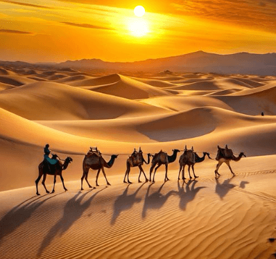 Screenshot 2024-11-03 2.25.16 PM.png