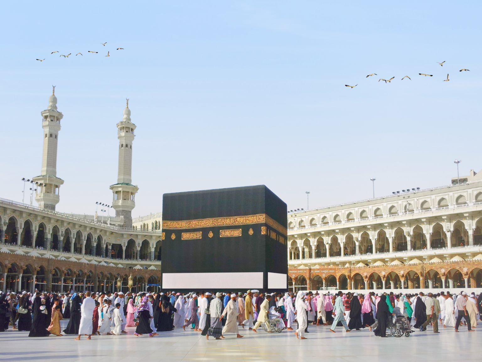 GALERI PAKET WEB (6).png