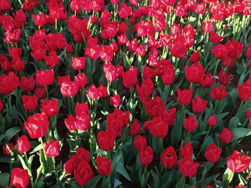 PRIVATE TURKIYE 4D 04 APRIL 2025 MUSLIMTRAVEL.ID