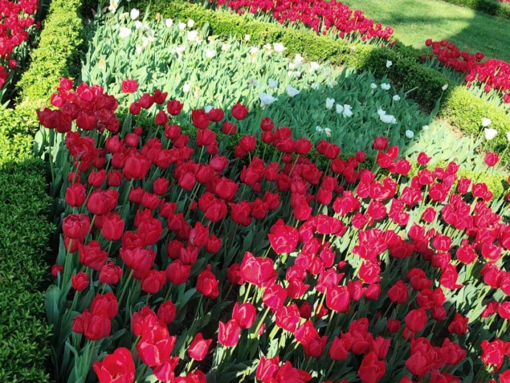 PRIVATE TURKIYE 4D 04 APRIL 2025 MUSLIMTRAVEL.ID