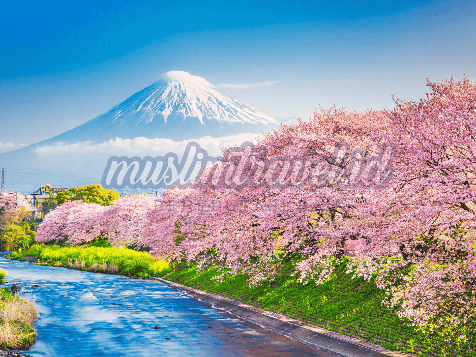 Flyer paket Produk New Umrah 2025 (WEB) (28).png