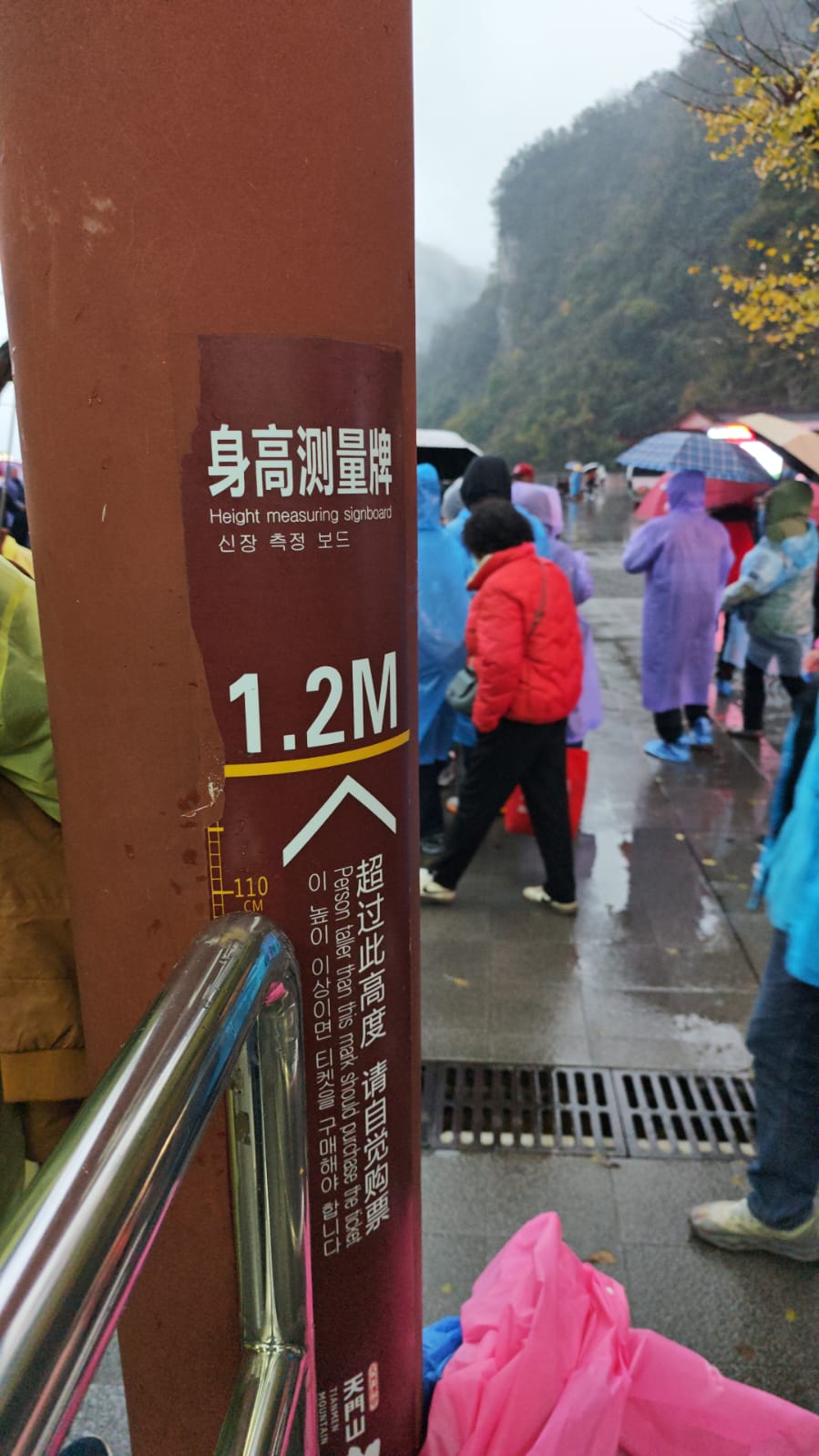 minimal tinggi badan.jpeg