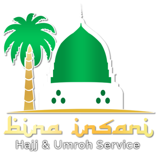 binainsanitour.com