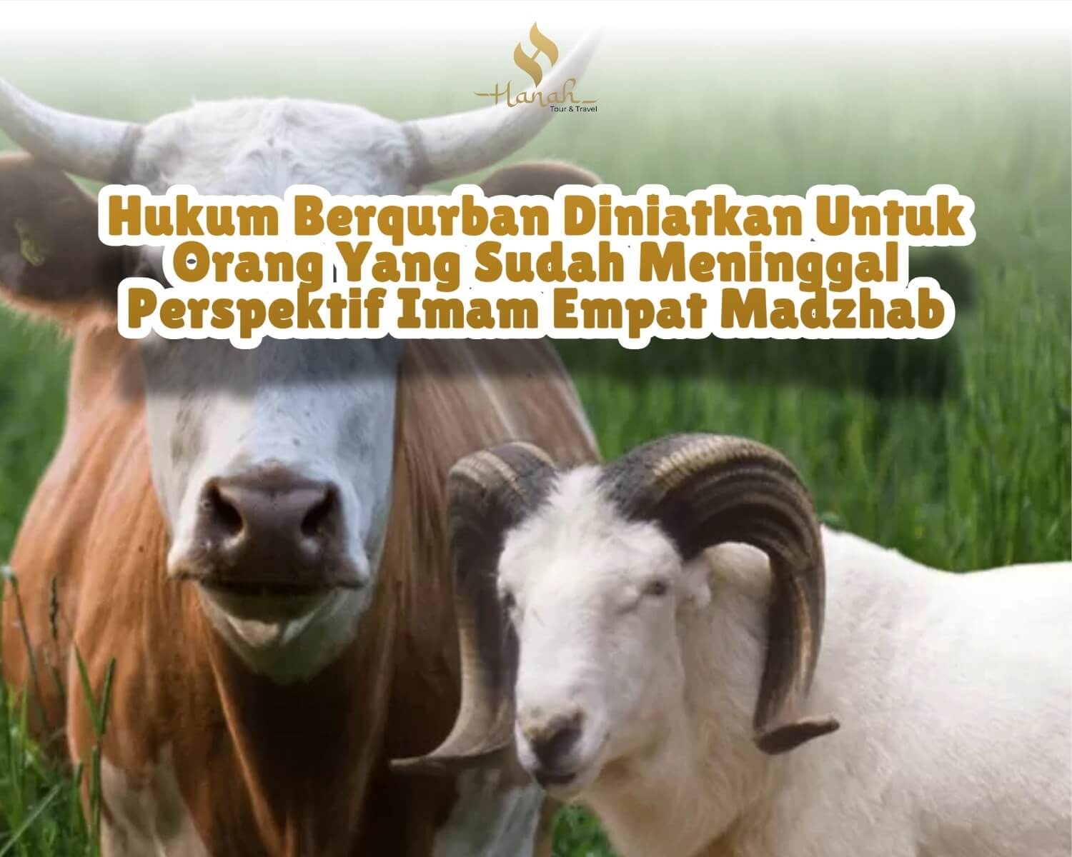 DenahLokas.jpeg