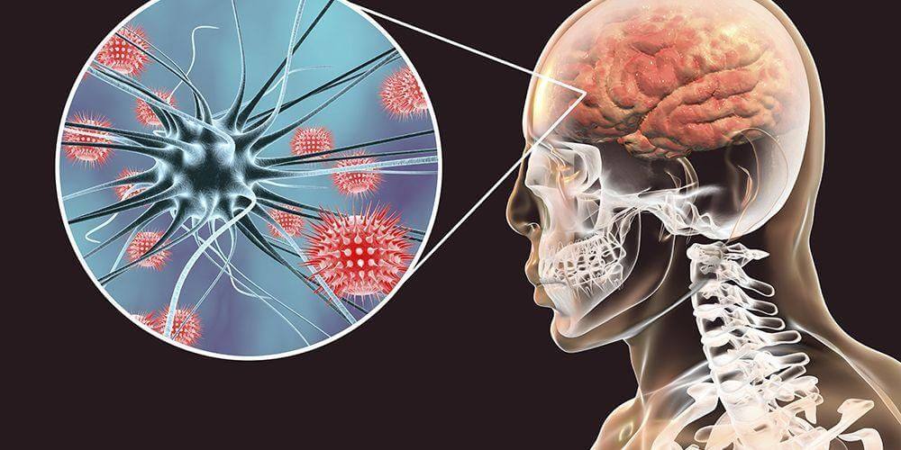 vaksin miningitis.jpg