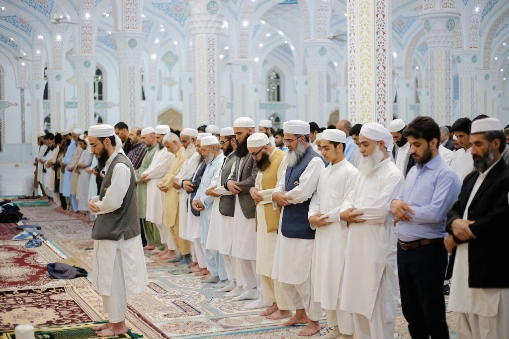 pexels-mohammad-ramezani-16135714.jpg